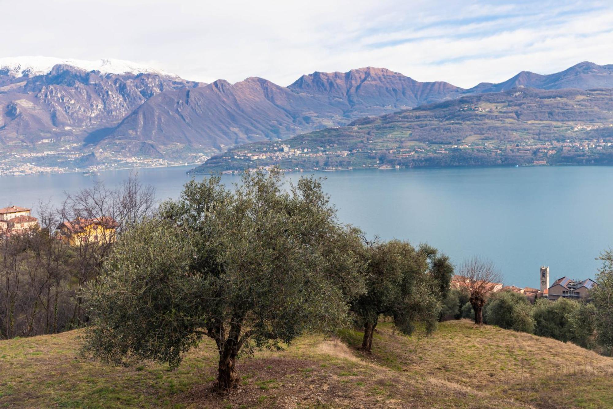 Residenza Coccinelle Vista Lago D'Iseo Tavernola Bergamasca Exteriör bild